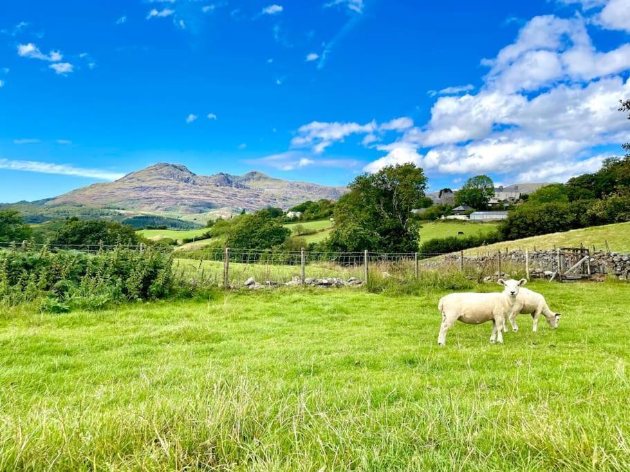 The Walkers' Cwtch Apartment Ffestiniog Екстериор снимка
